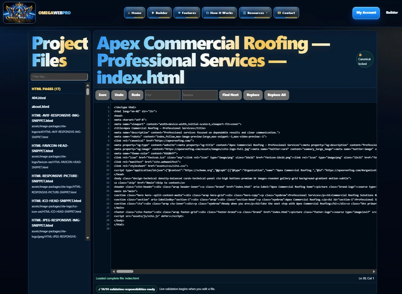 Real Omega Web Pro licensed website code editor